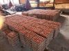 Best Quality Fresh Brown Table Chicken Eggs Cheap Fresh Chicken Table Eggs Fresh Chicken in Bulk Brown Eggs