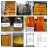 100% Pure & Natural Palm Oil RBD / Refined Palm Oil CP8 & CP10