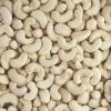 Raw  Cashew Nuts and Processed Cashew Nuts 