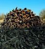 Mesquite charcoal and firewood