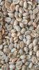 Brazilian Arabica and ...