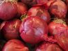 FRESH RED ONION