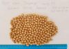 chickpeas in Ukraine