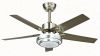 Modern Ceiling Fan with Lamp