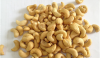 Vietnamese Cashew Nut ...