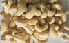 Vietnamese Cashew Nut ...