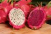 Dragon fruit