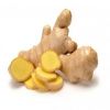 Ginger