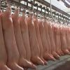 Meat Processing Cold S...