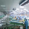 Vegetable Processing C...