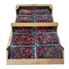  High Quality Natural Taste Red Farm Fresh Cherries for Sale