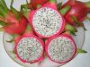  Free Sample Fresh Dragon Fruits From South Africa, Cheap Price Stock Available