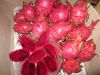  Free Sample Fresh Dragon Fruits From South Africa, Cheap Price Stock Available