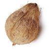  Cheap Price Fresh Mature Semi Husked Coconut From South Africa