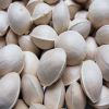 Best Selling Ginkgo Nuts Fresh Raw Ginkgo Nuts Medical BULK Style Packaging Color Material Natural half opened sales