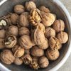 South Africa High quality whole hulled pieces Walnuts with Thin Shell or walnut kernels