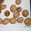 South Africa High quality whole hulled pieces Walnuts with Thin Shell or walnut kernels