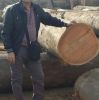Sawn Timber logs/Teak Wood/Beech Round Logs South African Origin Available For Sale