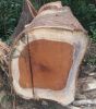 Sawn Timber logs/Teak Wood/Beech Round Logs South African Origin Available For Sale