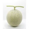 Export Quality Fresh Fruit Natural Mellow Fragrance Nutrients South Africa Musk Melons Sweet Fresh Melon