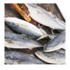 Good Quality Frozen Whole Yellow Tail Amberjack Scad Fish with Size 6-8KG 8-10KG