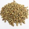 Wholesale South African  High Quality Green Coffee Beans With Best Price Arabica Beans For Import Good Quality Raw Coffee Beans