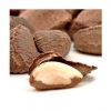 Nuts Kind of Brazil Fresh Seasoned Stock of All Raw Brazil Nut Customize Packaging Dried 100 % Natural Organic Cultivation