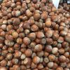 PREMIUM QUALITY TURKISH HAZELNUT NATURAL ROASTED AND RAW HAZELNUTS SHELLED AND UNSHELLED HAZELNUTS