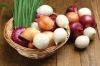 Fresh Red Onion Wholesale For Sale Best Price From South Africa  2022 - High Quality Top Quality