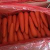 Manufacturers Provide Good Price Non-peeled Carrots Fresh Carrots For Sale