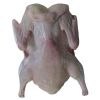 FROZEN WHOLE DUCK WITHOUT HEAD&NECK POULTRY MEAT