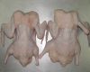 FROZEN WHOLE DUCK WITHOUT HEAD&NECK POULTRY MEAT