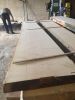 beech-oak-teak-pine-cu...