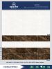 APODIO HIGH CLASS PORCELAIN TILE 400x800