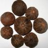 DRIED BLACK LEMON Mobile/Whatsapp/Viber No. : +84 903 887 753 (MRS. ALICE)