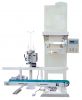 Quantitative Packing S...
