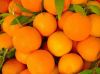 fresh Valencia orange