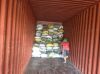 Coconut Shell Charcoal