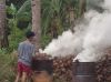 Coconut Shell Charcoal