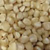 wholesale Yellow Corn available for bulk order 