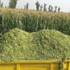 quality silage bags corn animal feed yellow agriculture storage corn silage bag for cattle