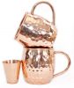 Set of 2 Pure Copper Mugs - 16 Oz with 2 Shot Glasses 2 oz