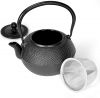 Cast Iron Teapots Stainless Steel Infuser