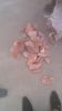 himalayan pink salt