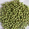 Mung bean,new crop 201...