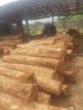 quality Teak Wood and ...