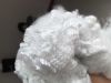 Polyester Staple Fiber