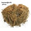 Sugarcane Bagasse Pulp