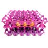 Plastic egg tray mould...