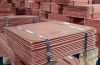 copper cathode/copper/...